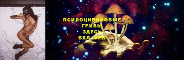 а пвп мука Бердск