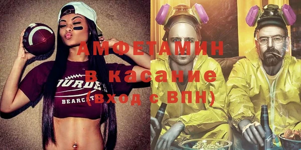 шишки Ачинск