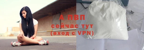 СК Балахна