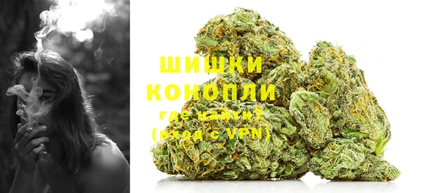 шишки Ачинск