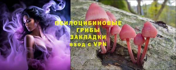 скорость Баксан