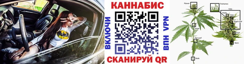 Канабис гибрид  Белый 